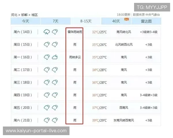 开云打码流水规则波胆避坑指南对比防骗