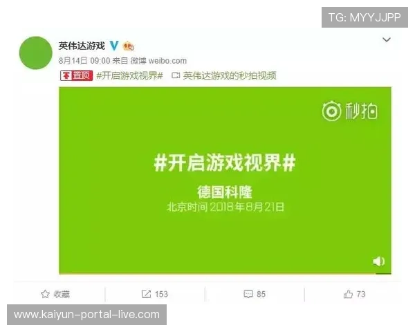 靠买波胆发财的人品牌入口下载评测防骗避坑